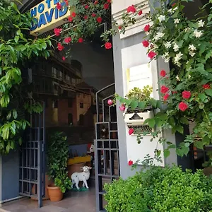 David - Ethno Style Hotel